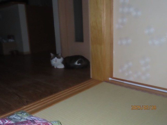 四時過ぎリビングドア