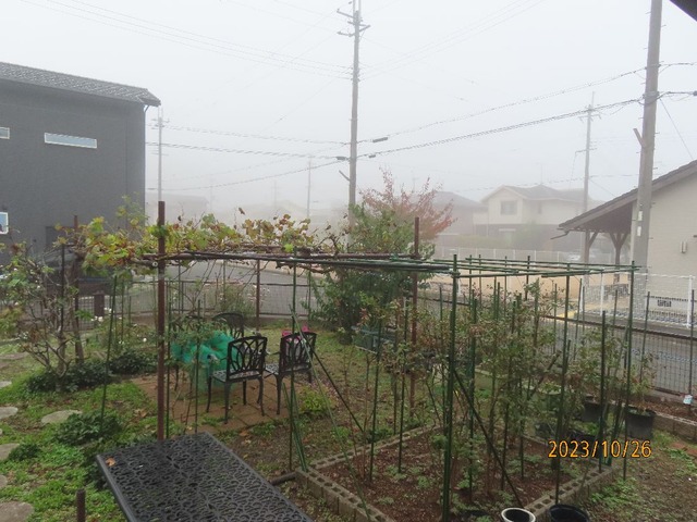 六時朝霧