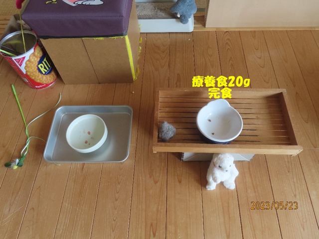 ドライ完食