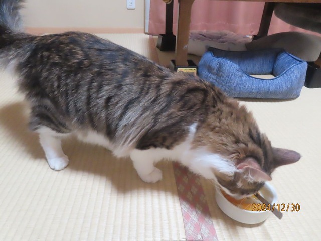紅まどんな