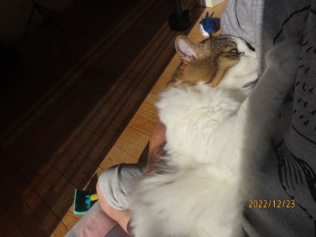 おしまい抱っこ