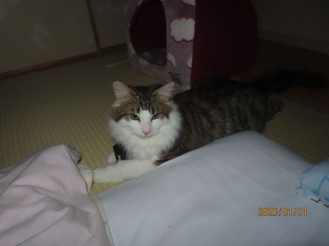 起こしに来たよ