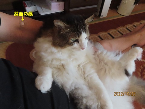 抱っこ①