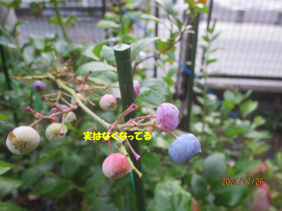 b9bcc79b.jpg