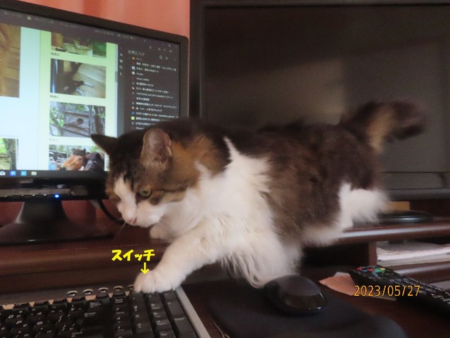 押したらあかんよ