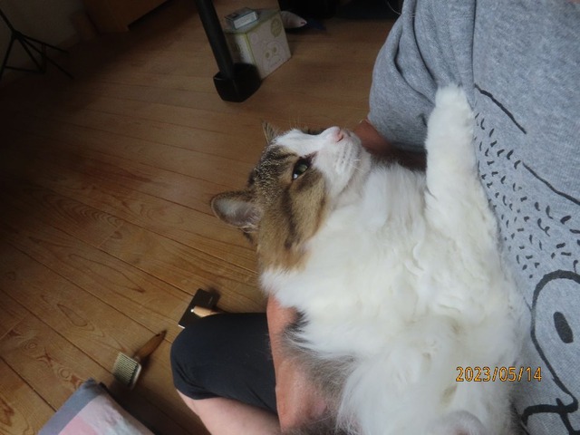 抱っこ
