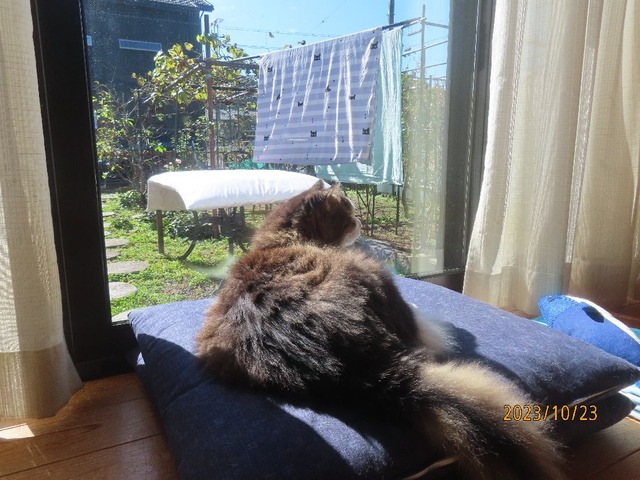 終わってほっこり