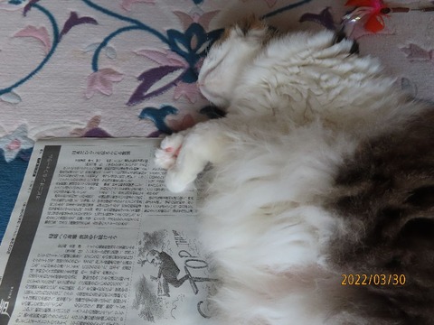 新聞①