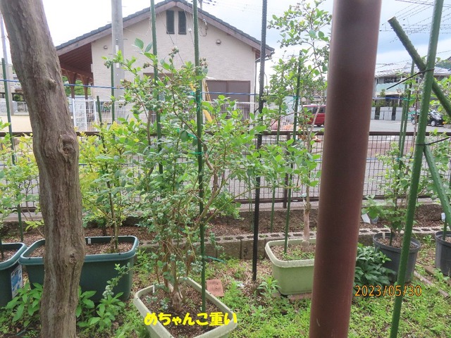 サミット移動