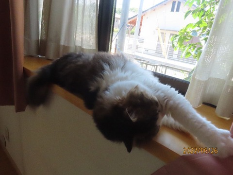 ふう「あつ・・・」