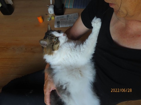 おしまい抱っこ