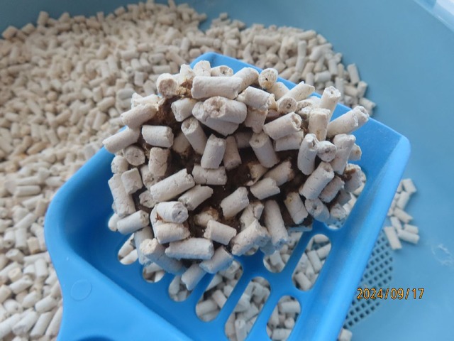 今朝のウンチまずまず