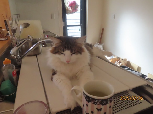 三時シンクの蓋