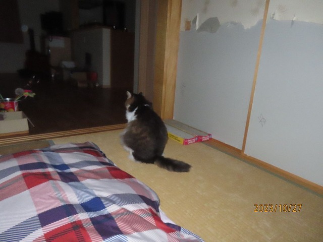 一時起きて来た