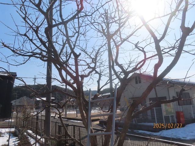 まだまだです