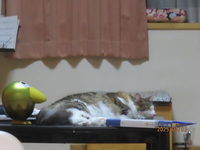 十時テーブル