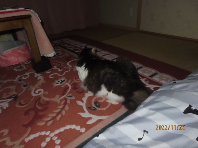 一時半です
