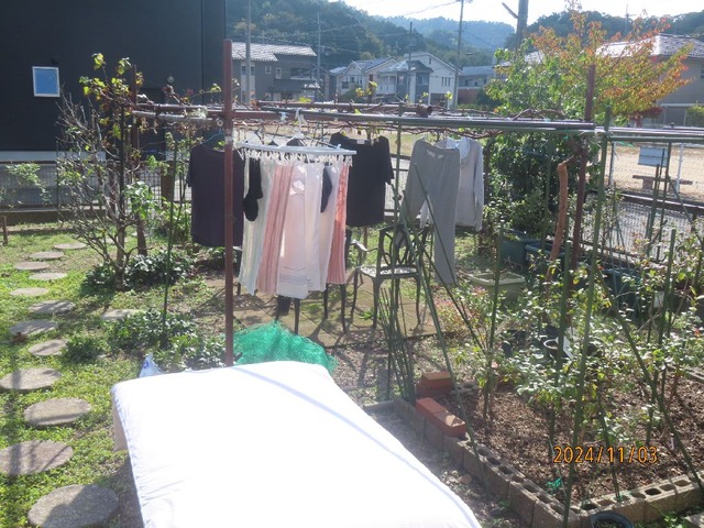 洗濯・布団