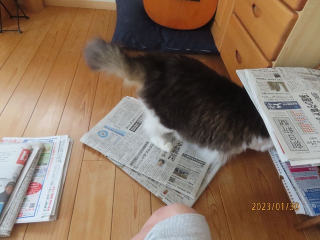 新聞①