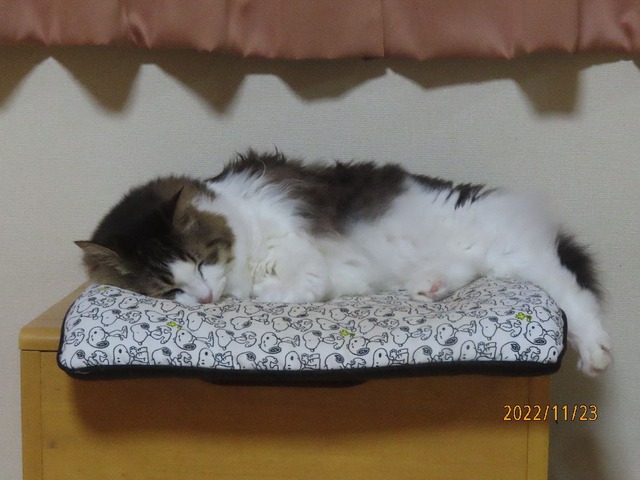 夜椅子