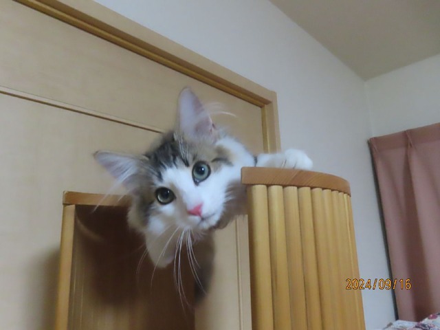 夜タワー