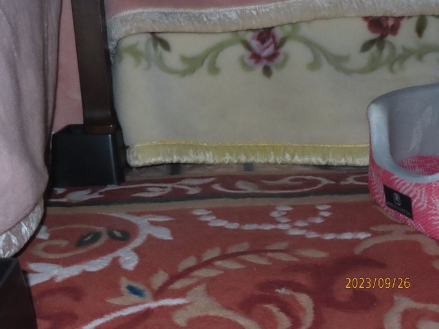 五時ベッド空っぽ