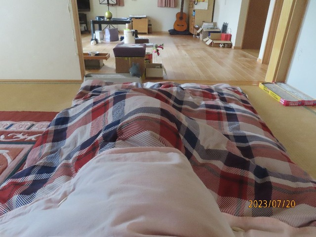 二十日お昼蒲団