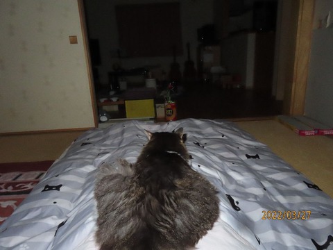 またまた来たよ