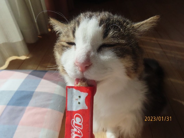 ちゅ~る