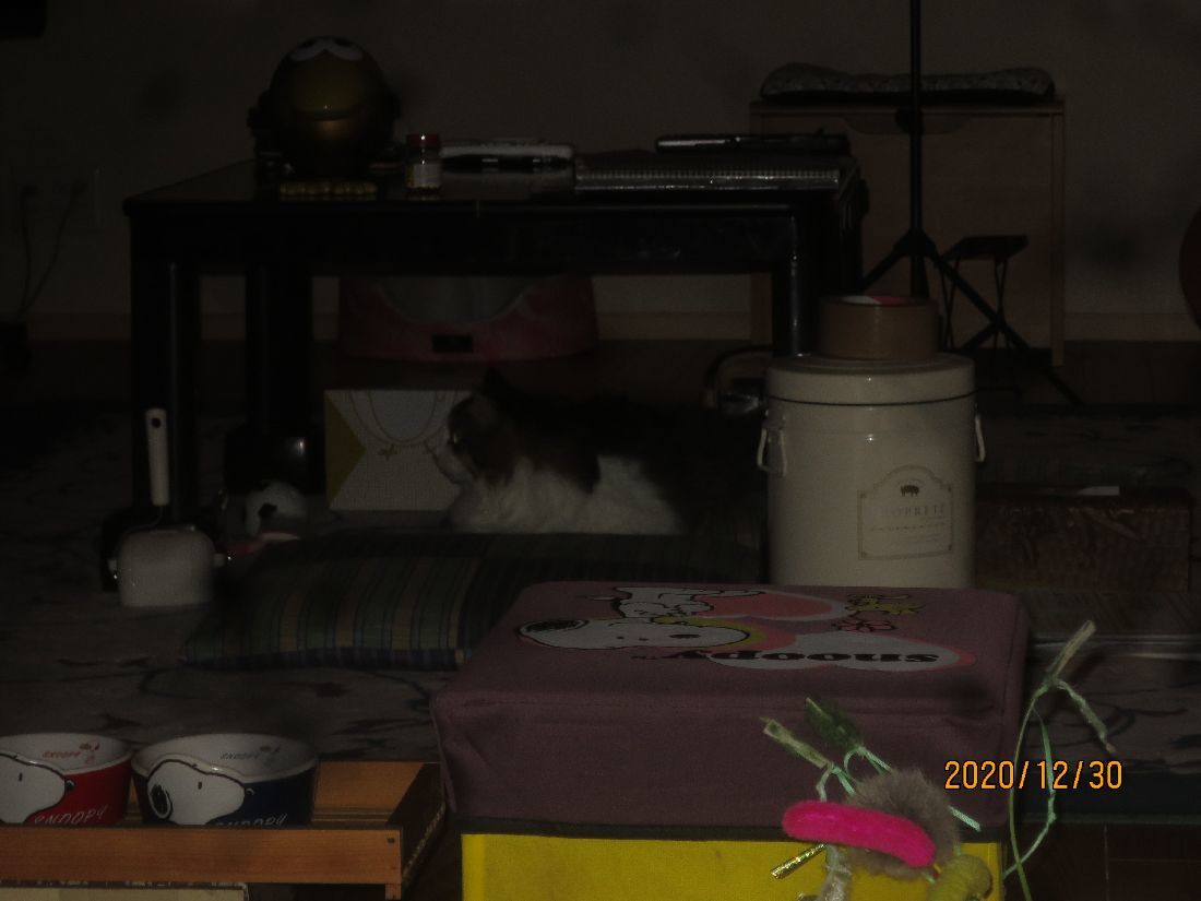c83fb261.jpg