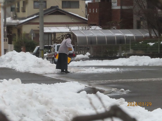 道路へ雪捨て