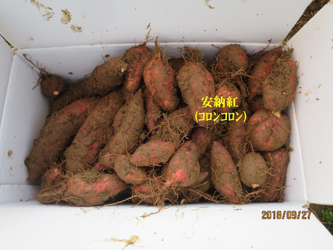 c9b38951.jpg