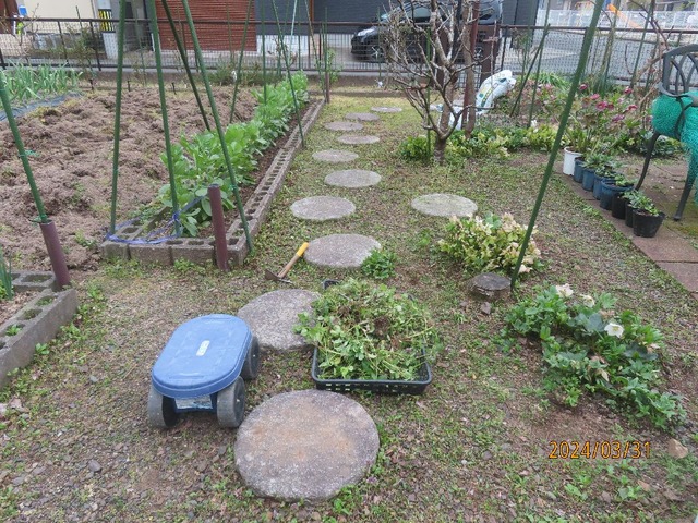草引き