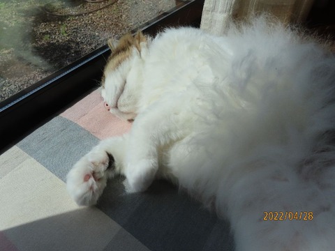 おしまいですよ