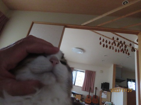 はいはい