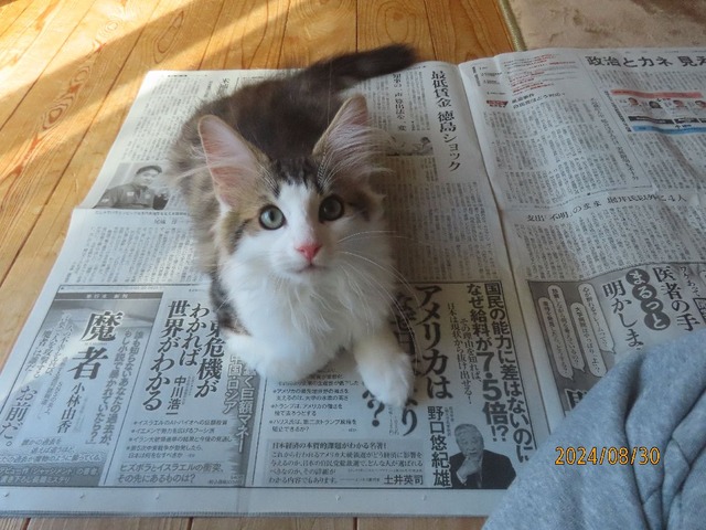 新聞①
