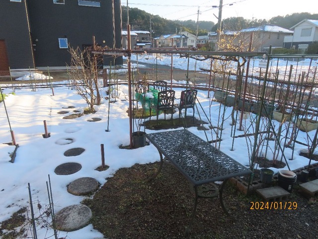 雪解け進む