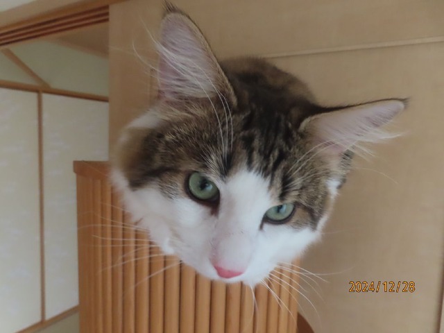 タワー②