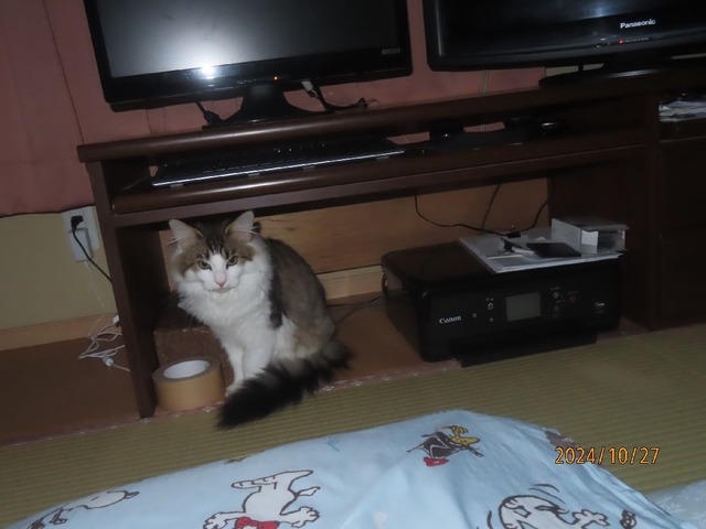 二時半ラック下