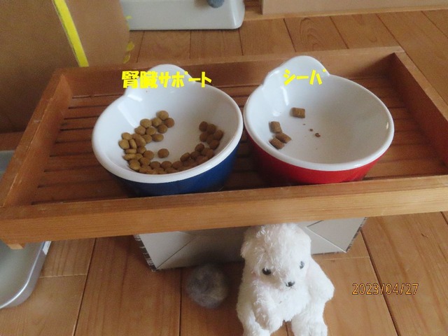 ドライまずまず