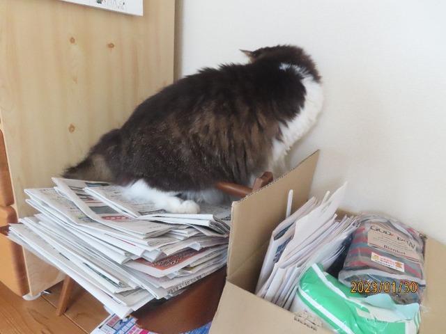 新聞②