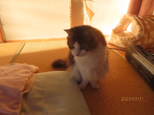 潜り①