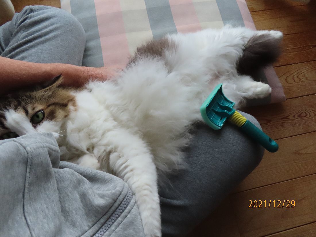 d3f076fd.jpg