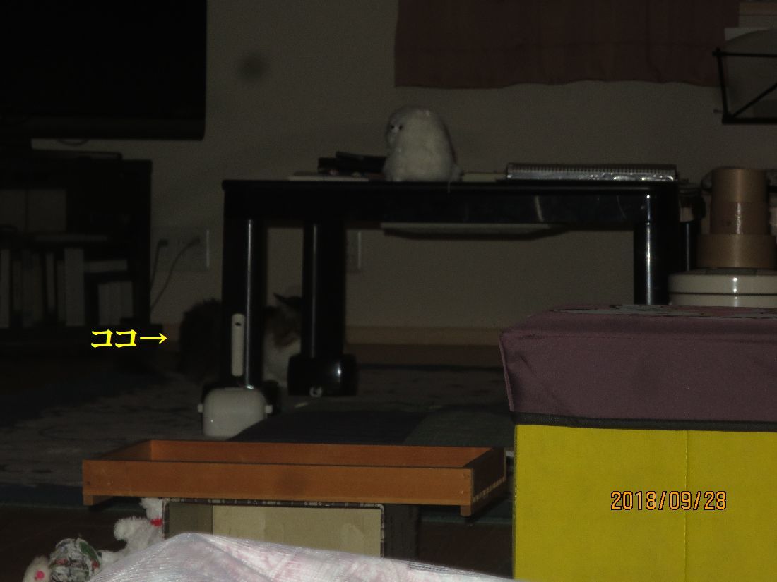 d46068a0.jpg