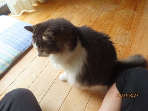 ふう「遅いじゃないか」