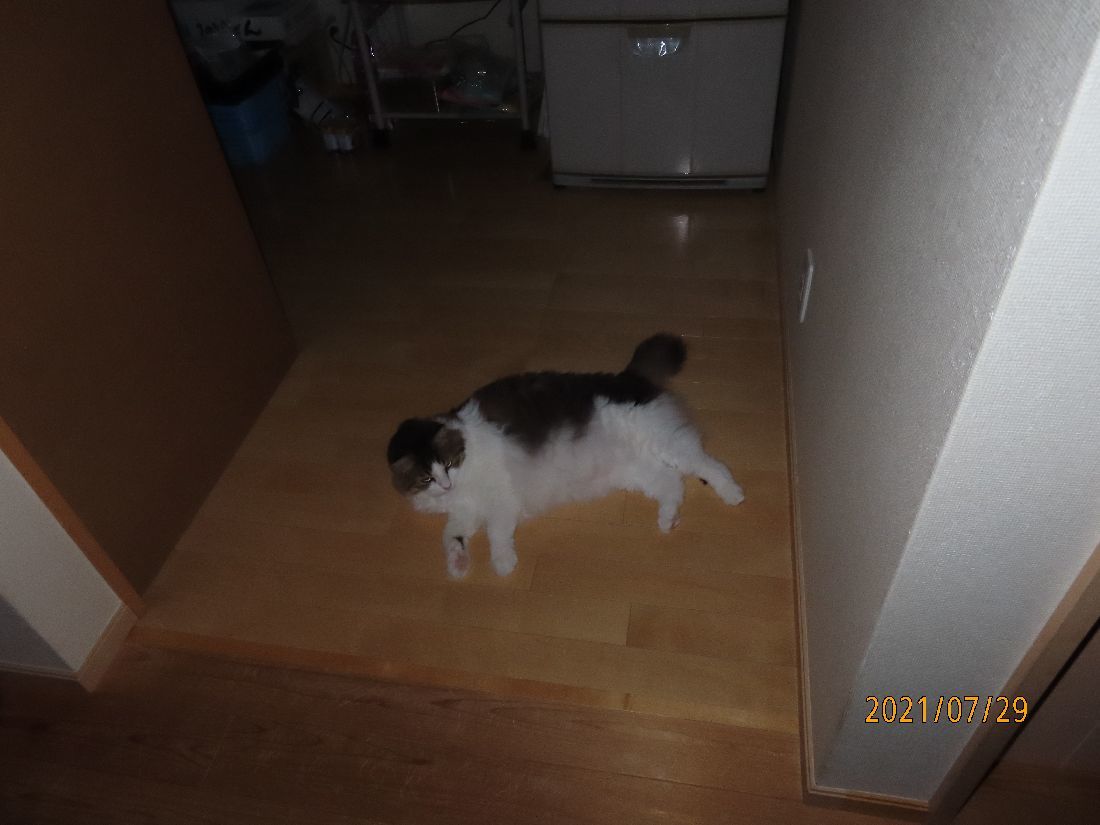 d721d73f.jpg