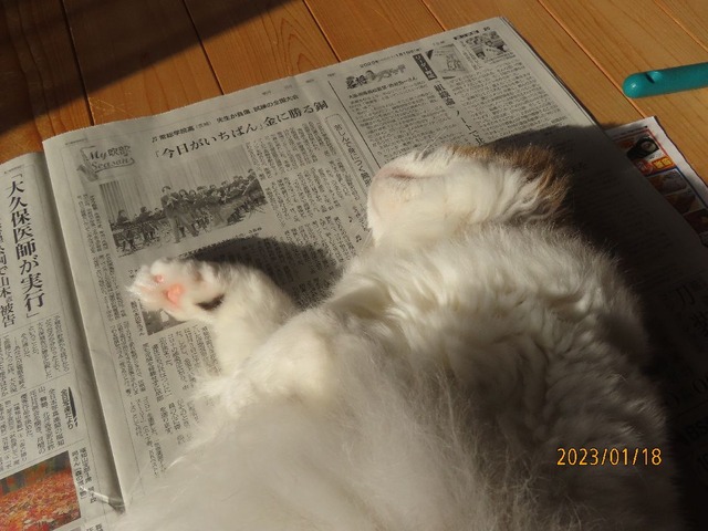 新聞①
