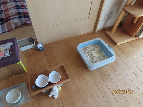 ゴハンとトイレ