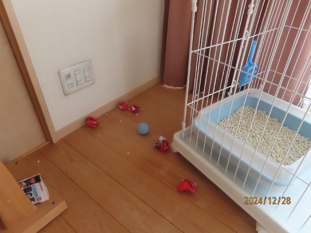 ケージの下