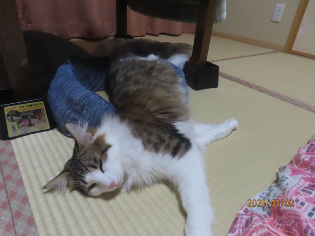十時こぼれた